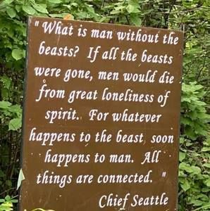 Meet your Posher, Jayne